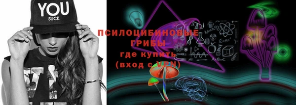 герыч Алексин