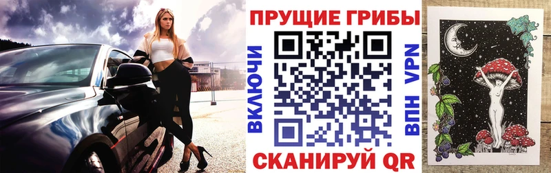 где можно купить наркотик  Лобня  Псилоцибиновые грибы Psilocybine cubensis 